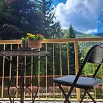 Dinky's With A Balcony Overlooking The Woods * Magreglio
