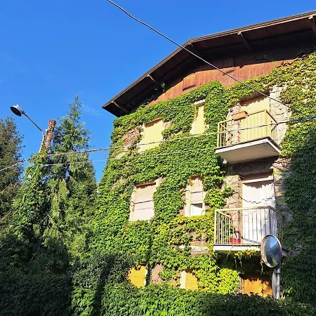 Dinky's With A Balcony Overlooking The Woods