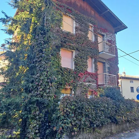 Dinky's With A Balcony Overlooking The Woods