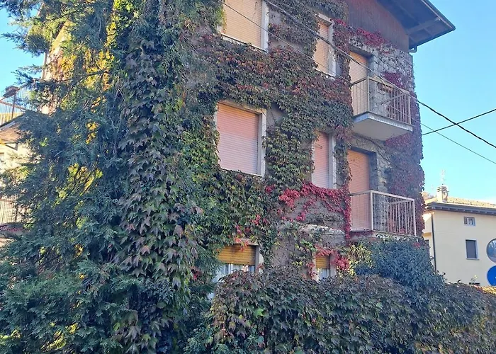 Dinky's With A Balcony Overlooking The Woods